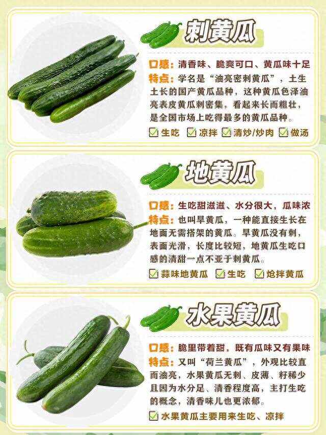 常见的黄瓜品种(常见的黄瓜品种有哪些)
