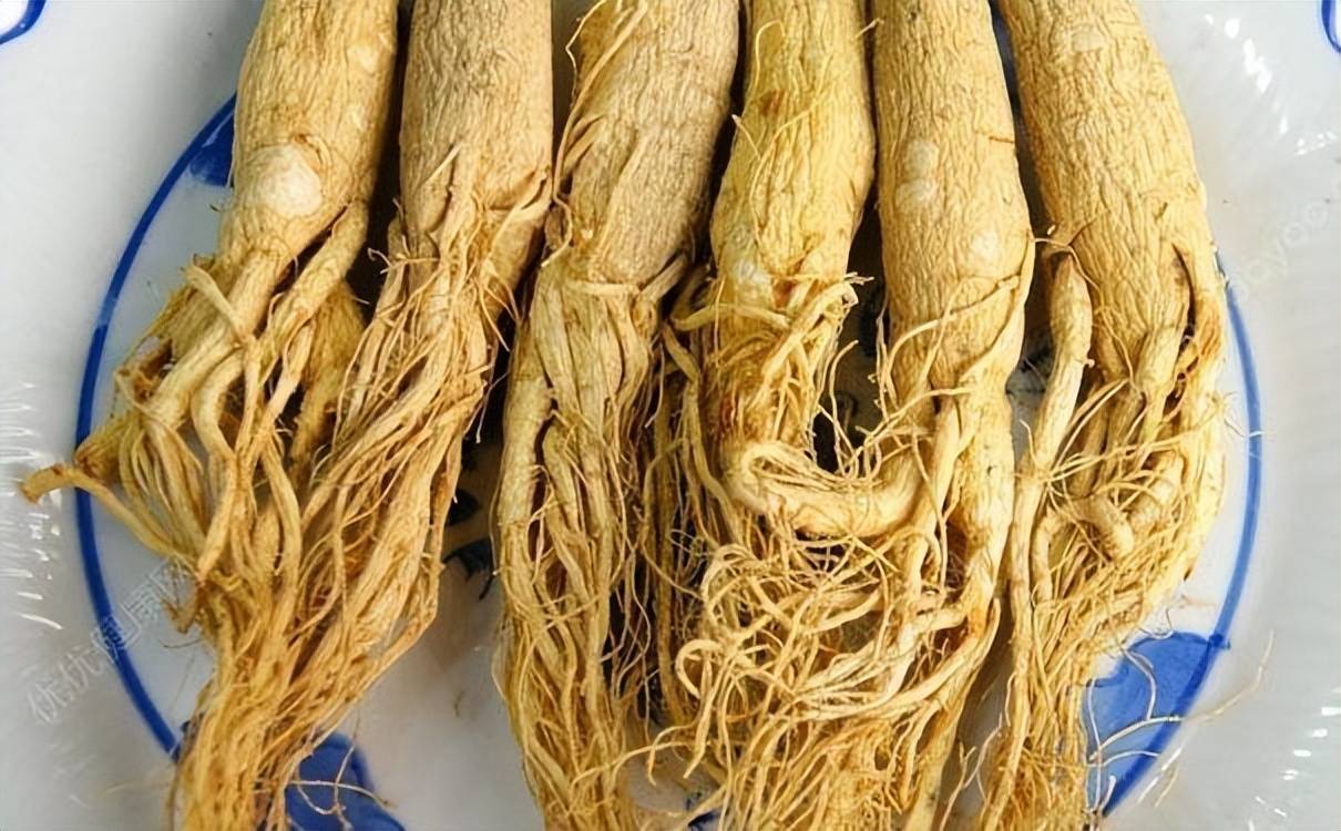 西洋参片的储存(西洋参片储存方式)