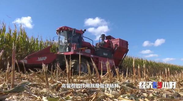 关于北方一年两茬种植粘玉米技术的信息