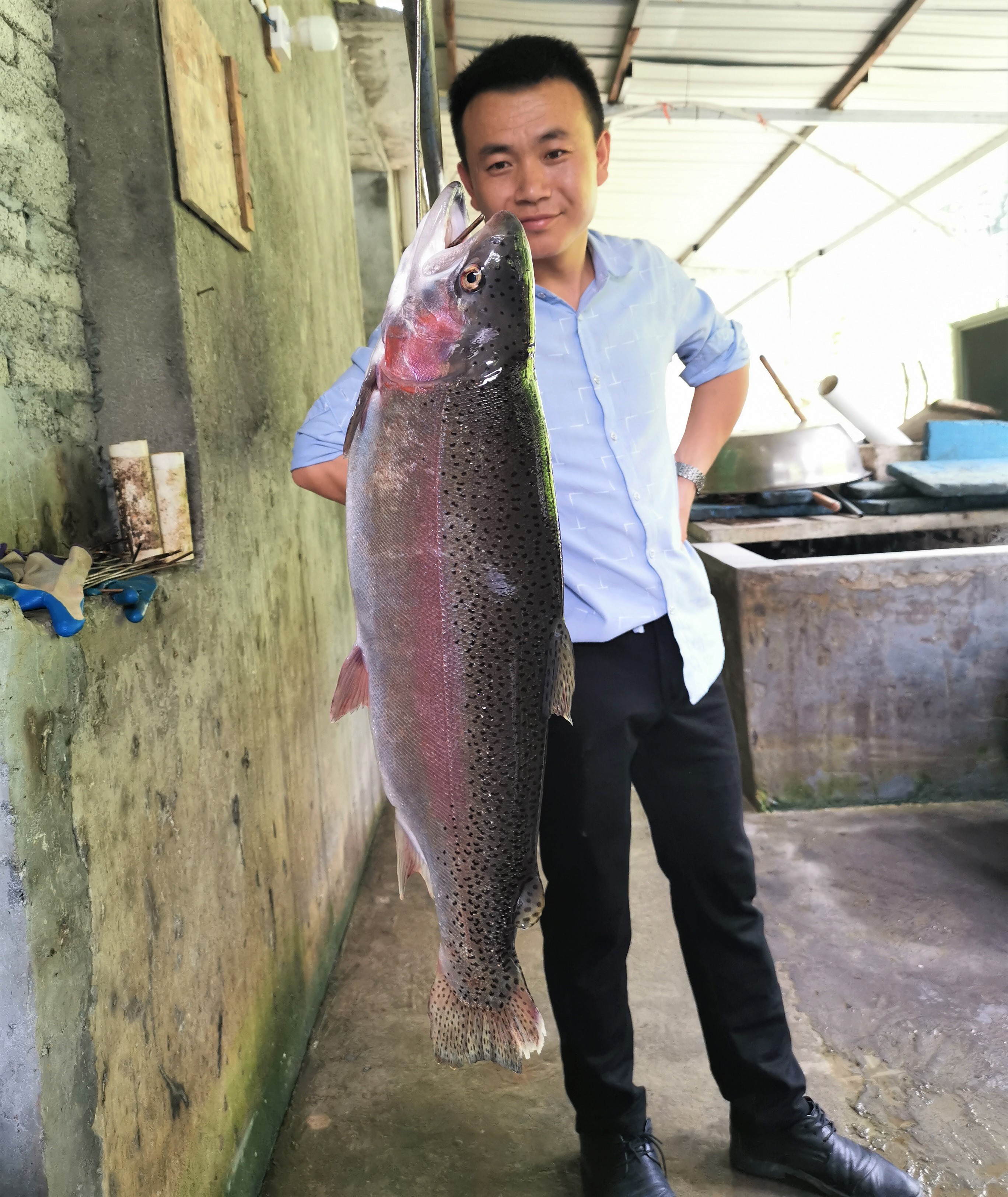 重庆适合养什么鱼水产(重庆养什么鱼经济效益好)