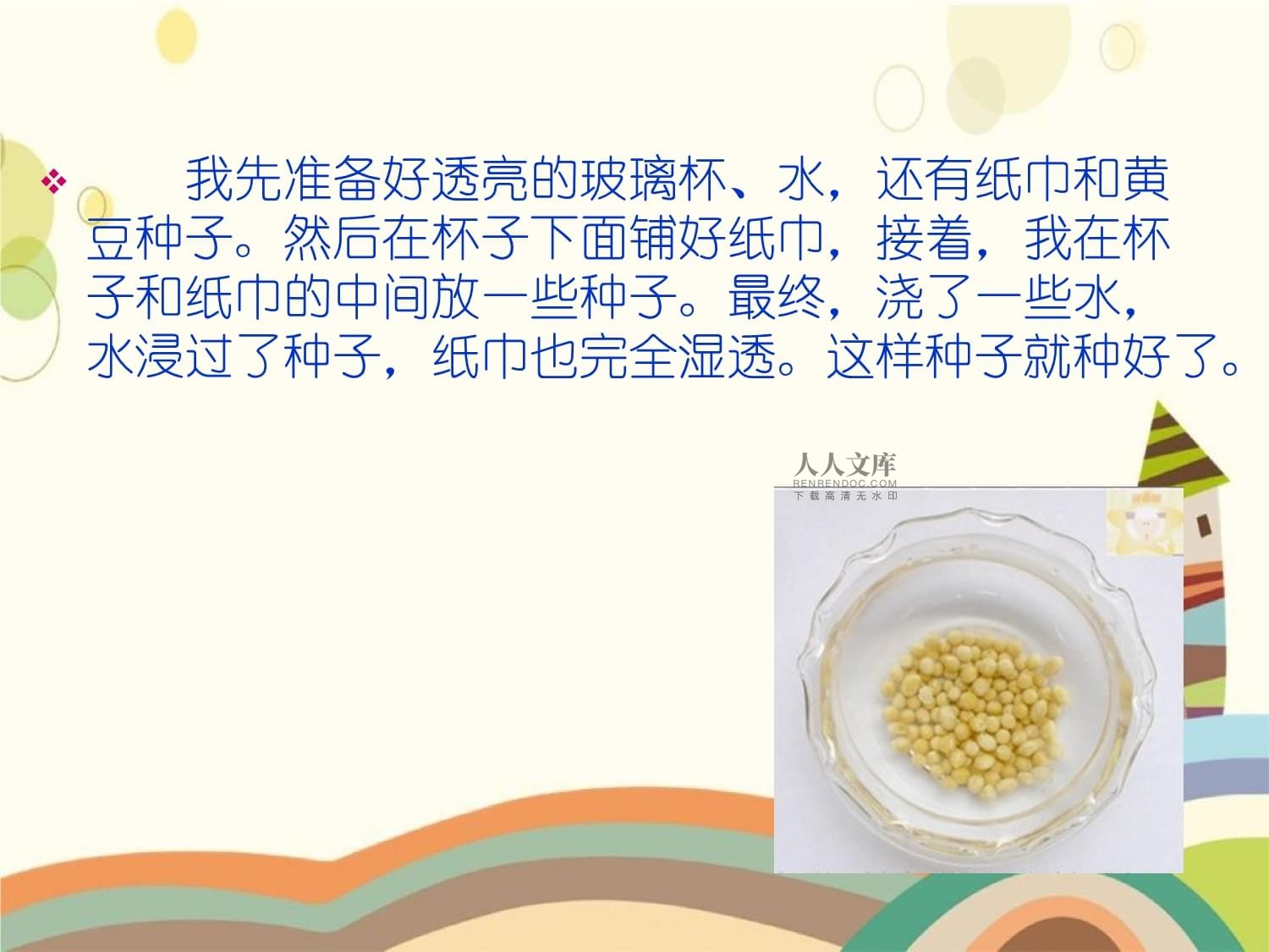 黄豆芽种植方法(黄豆芽种植方法及种植过程)