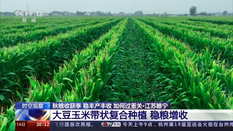 中国大豆种植公司(中国大豆种植上市公司)