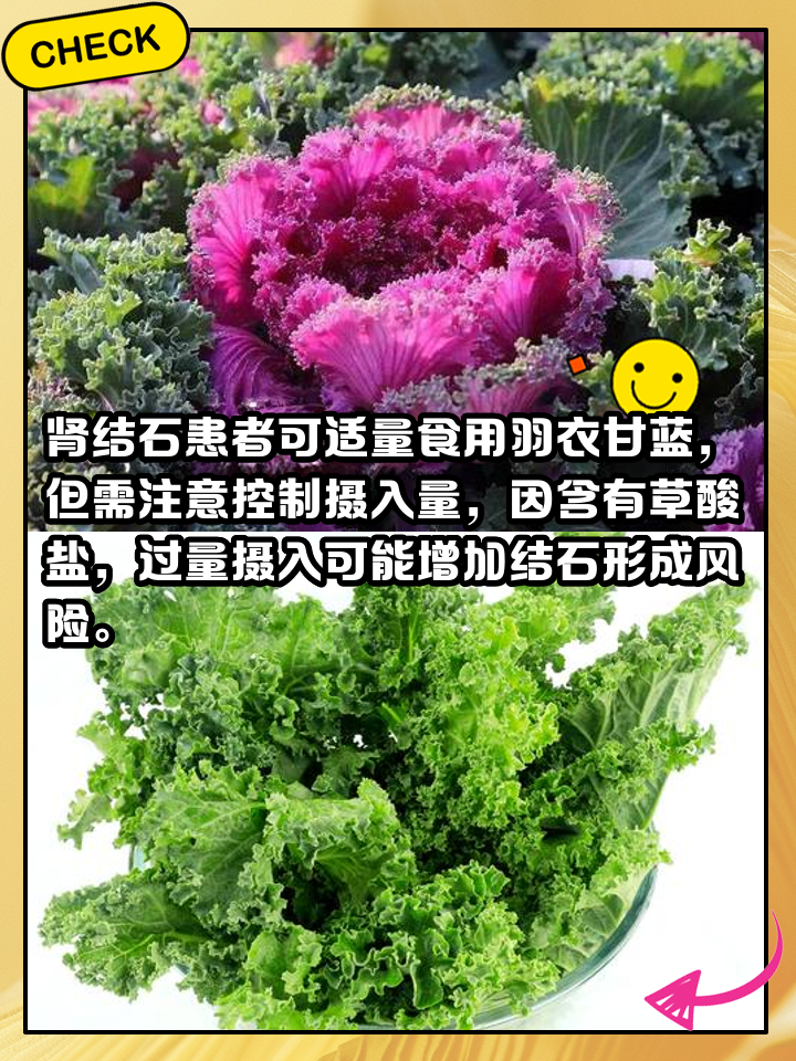 羽衣甘蓝吗(尿酸高能吃羽衣甘蓝吗)