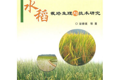 四川水稻高产栽培技术(四川水稻主推品种有哪些)