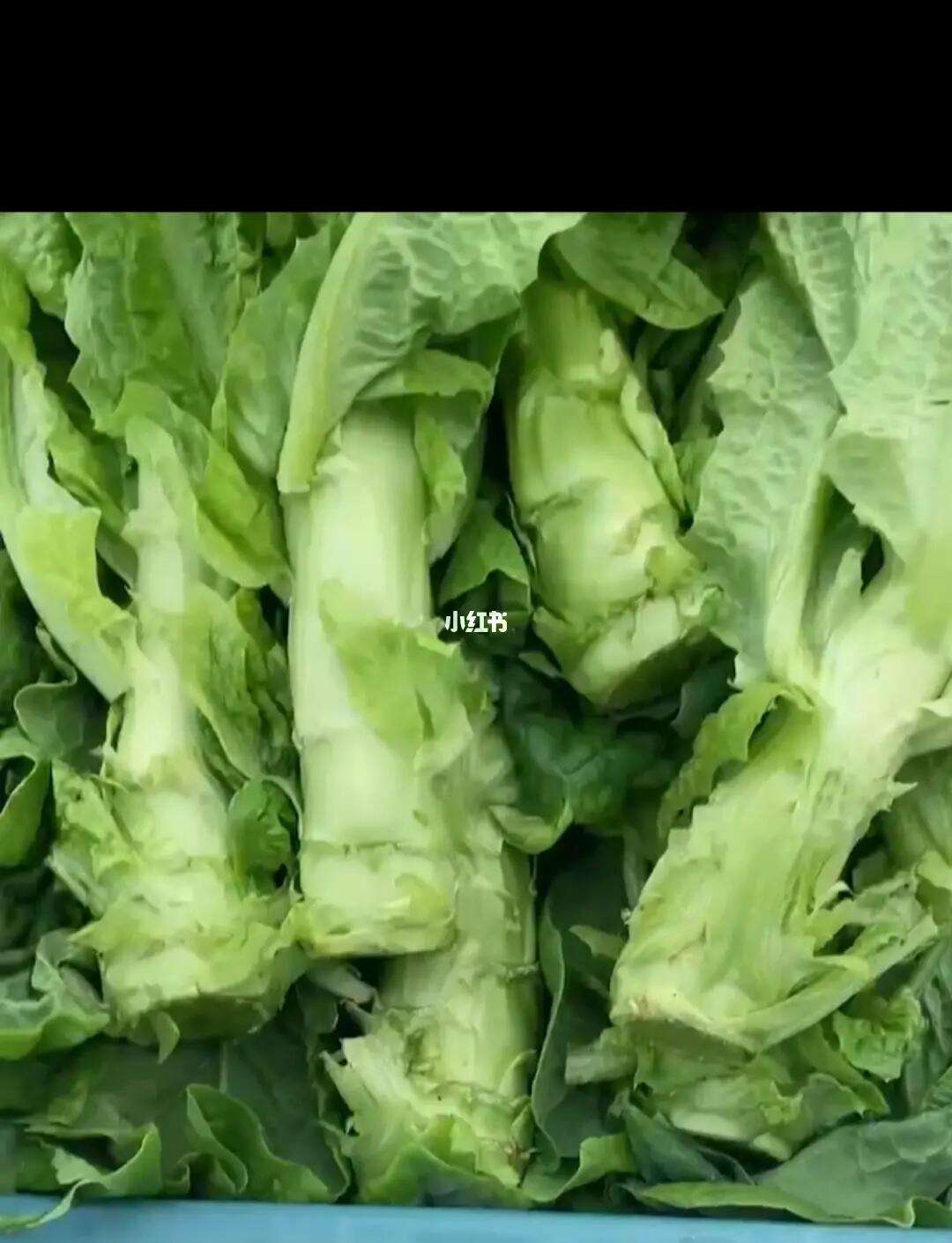 莴笋不新鲜(莴笋不新鲜了还能吃吗)