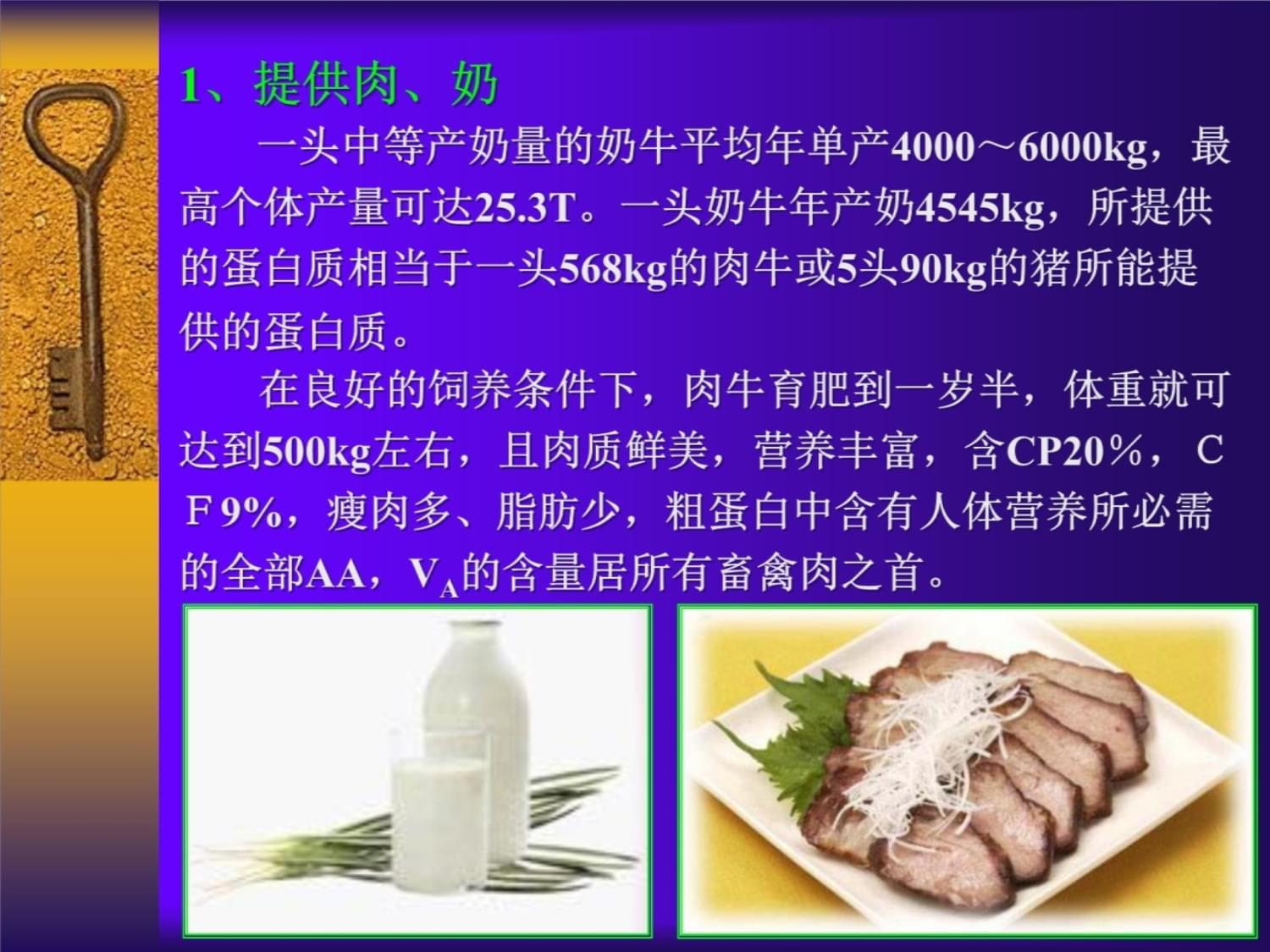 怎么学养牛(我想学养牛的技术)