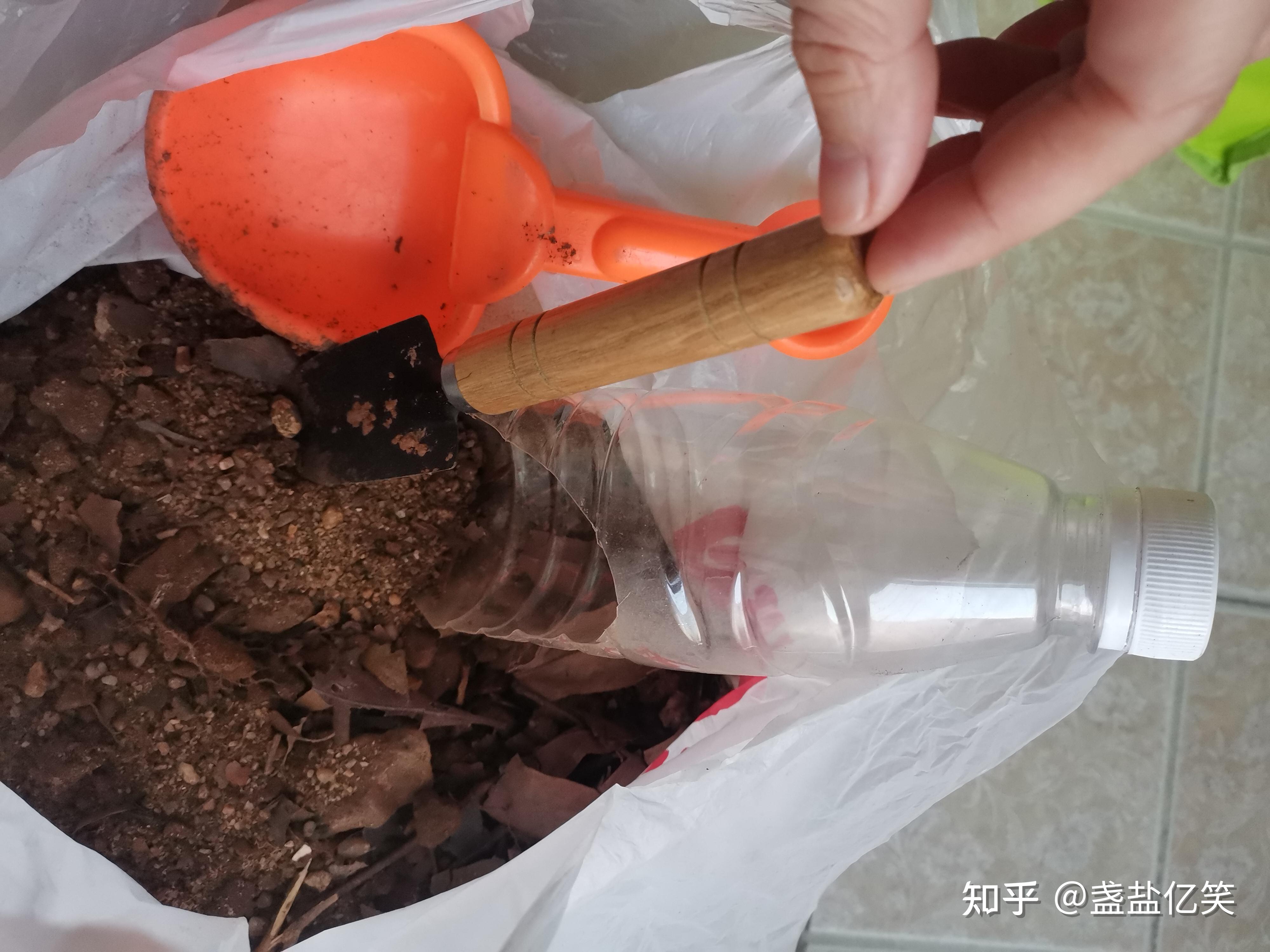 腐叶土如何杀菌杀虫(腐叶土杀菌杀虫用什么药)