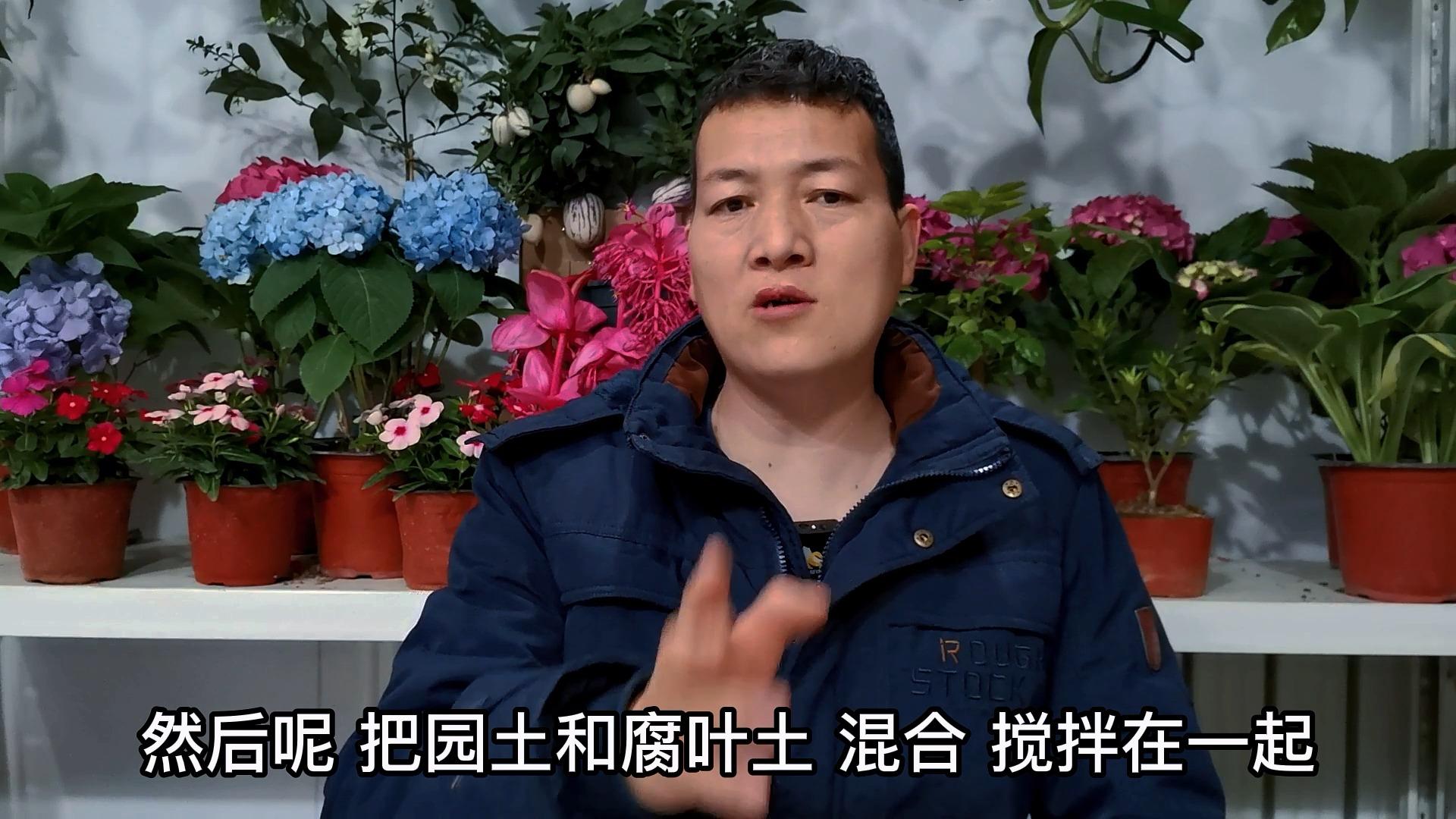 腐叶土如何杀菌杀虫(腐叶土杀菌杀虫用什么药)