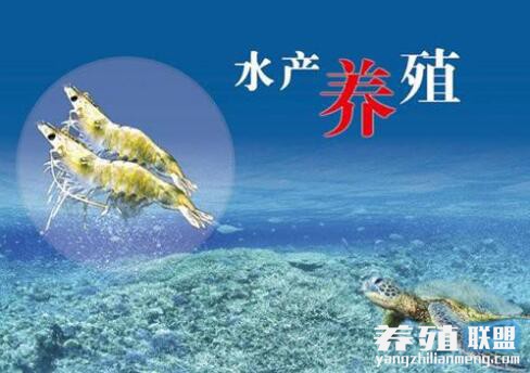 水产养殖博士点(水产养殖专业博士点)