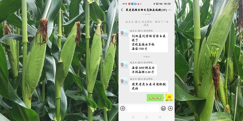 100亩地种玉米成本多少?(100亩种玉米地一年收入多少)