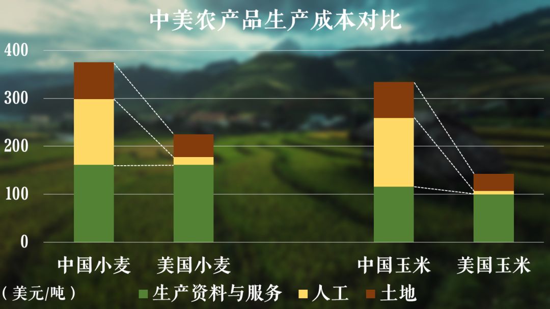 100亩地种玉米成本多少?(100亩种玉米地一年收入多少)