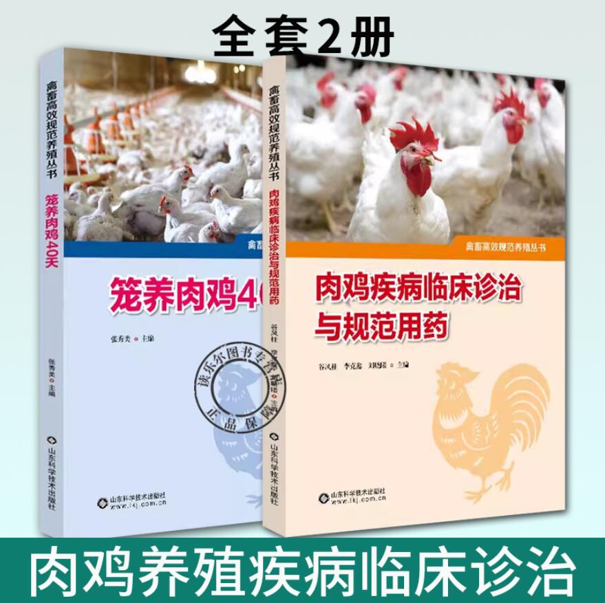 肉鸡养殖用药(肉鸡养殖用药流程)