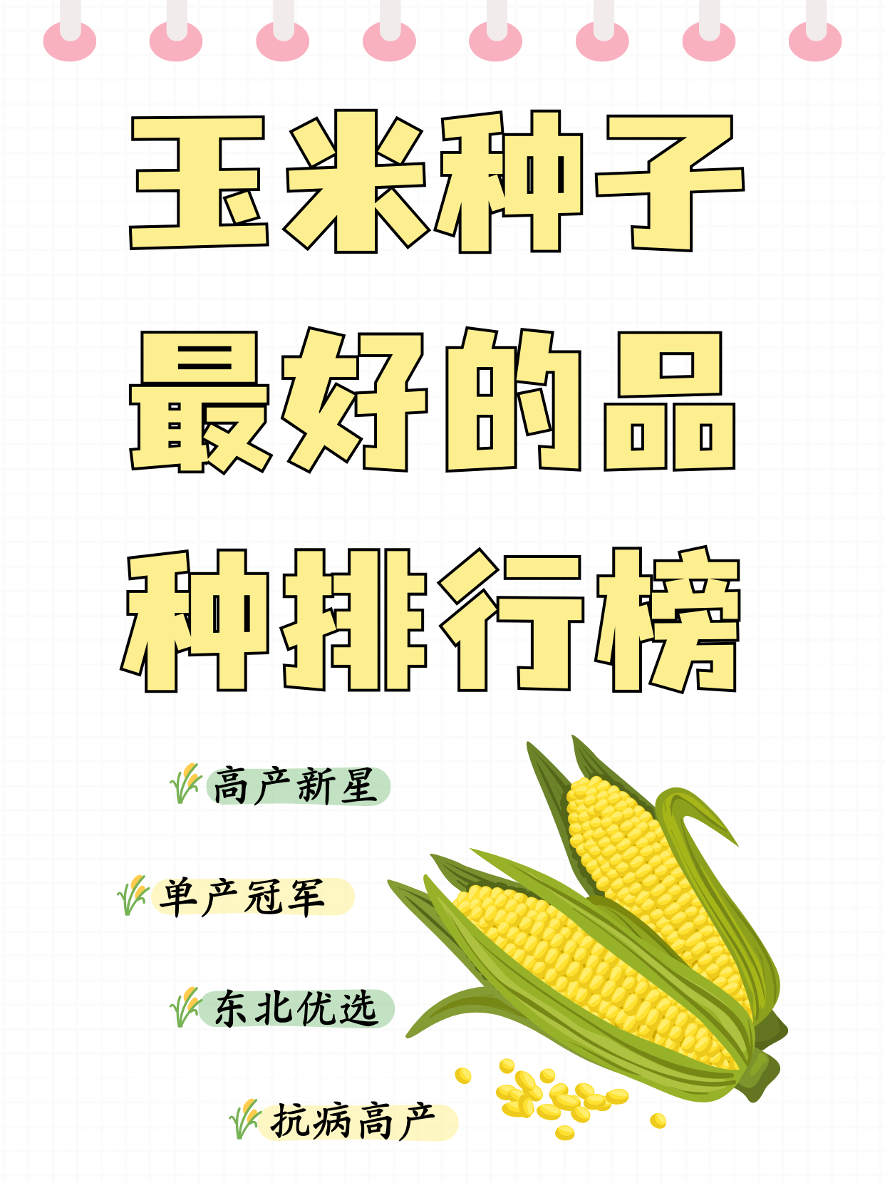 玉米怎样种植才能产量高(玉米怎样种植才能产量高,玉米排行多少退步多少)