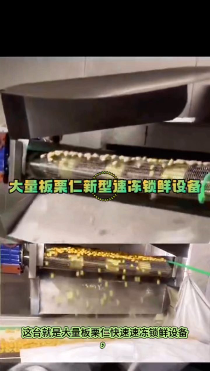 冷冻蔬菜生产(冷冻蔬菜生产厂家)