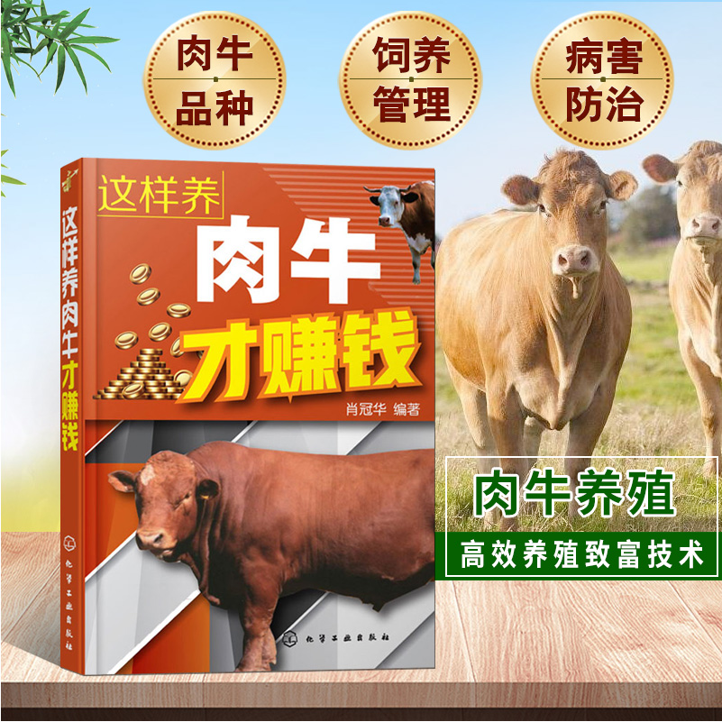 饲养肉牛技术(肉牛养殖新技术)
