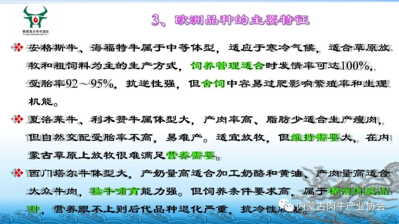 饲养肉牛技术(肉牛养殖新技术)