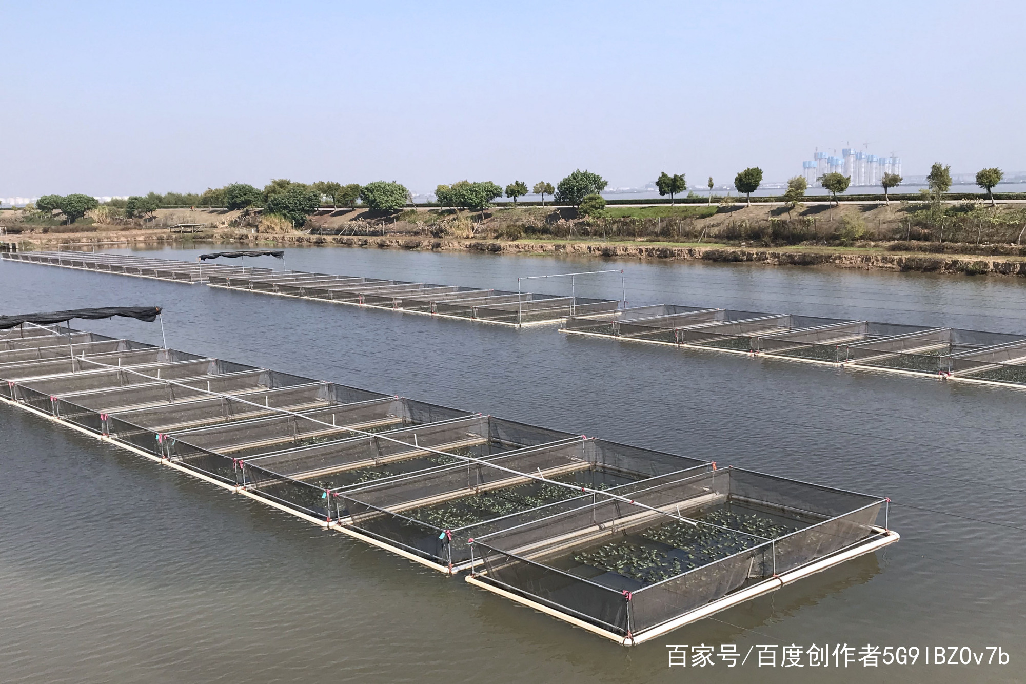 广东水产养殖基地(广东水产养殖基地有哪些)