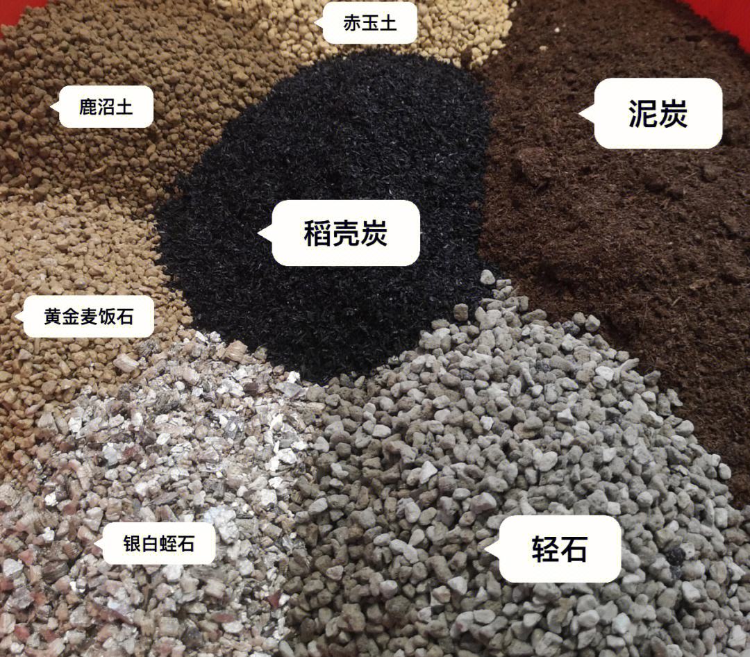 竹根薯种植技术(竹根薯怎么做好吃)