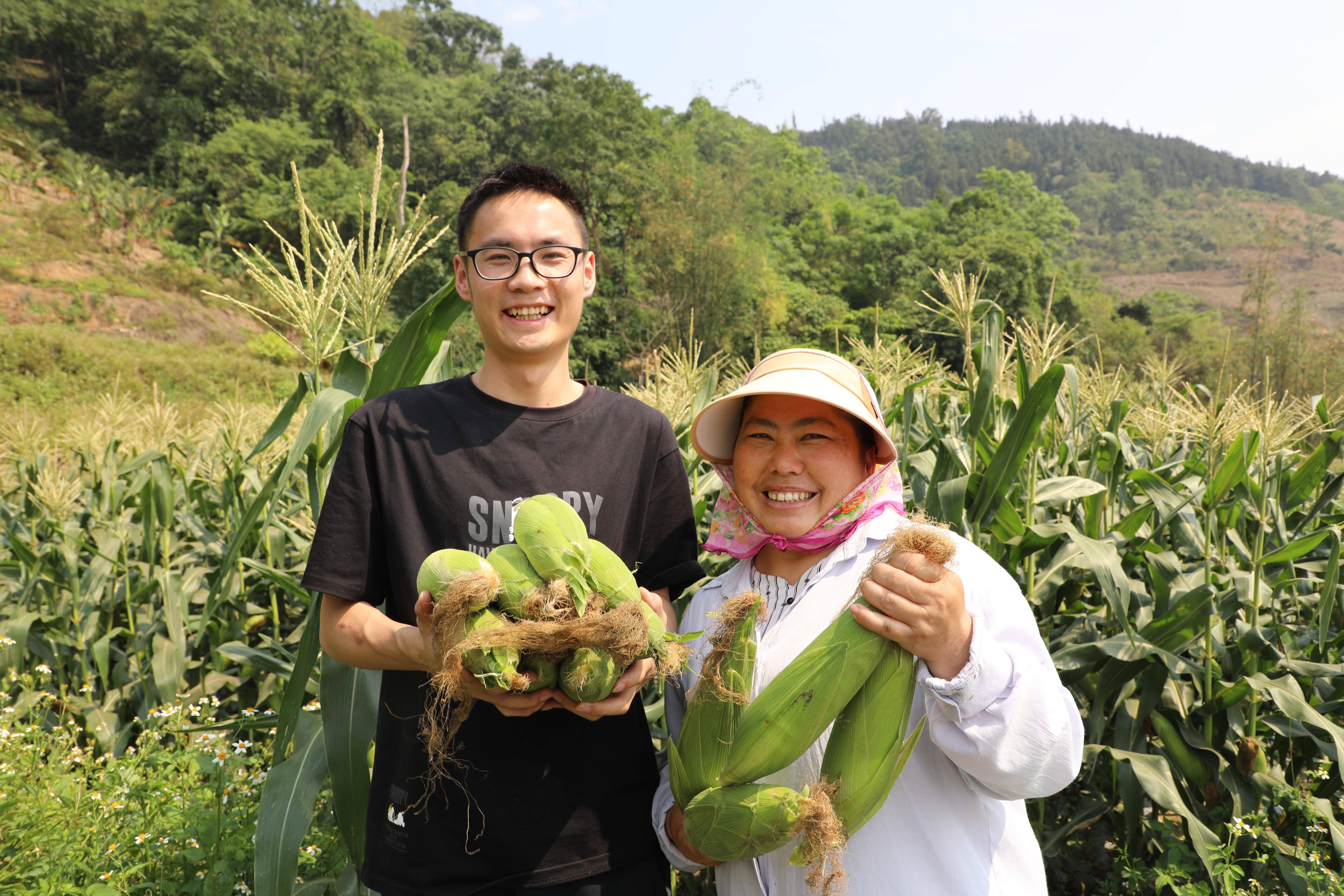 种植玉米每亩成本(种植玉米每亩成本多少钱)