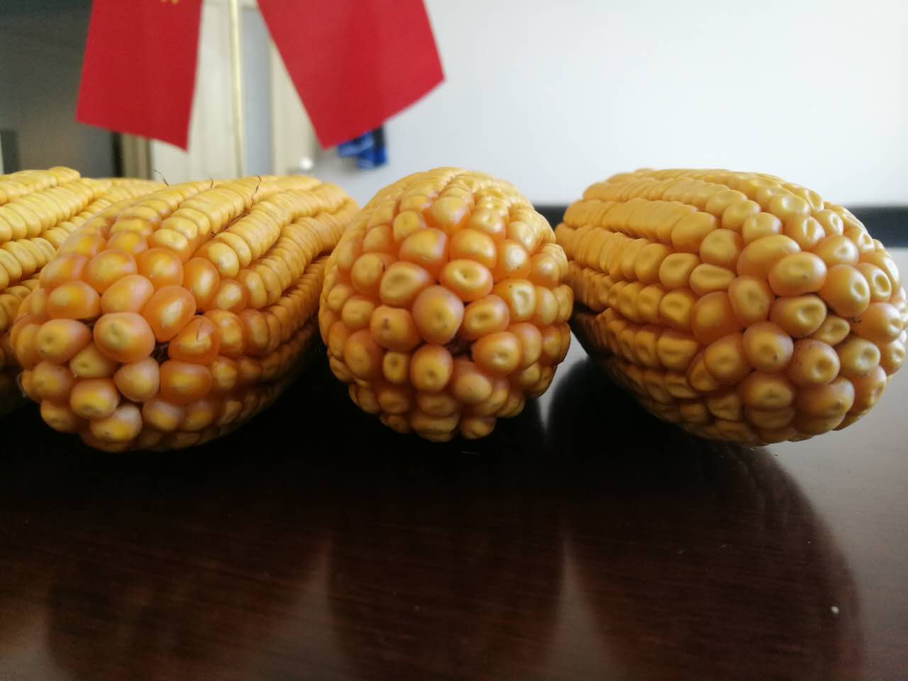 禾润种业品种(禾润种业品种介绍)