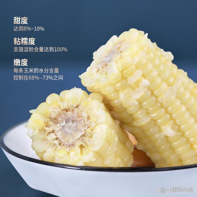甜玉米粒是转基因的吗(甜玉米粒是转基因的吗能吃吗)