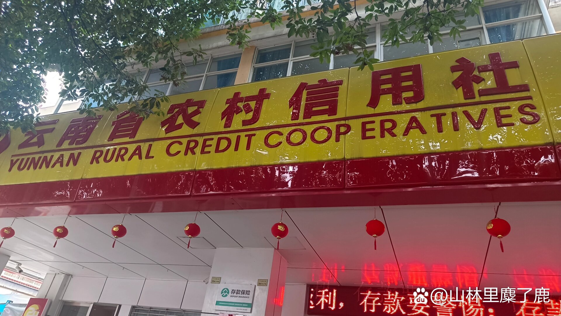 云南农信信息(云南农村信用社定期存款利率)
