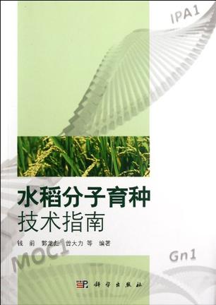 水稻育种技术(水稻育种技术员升职路线)