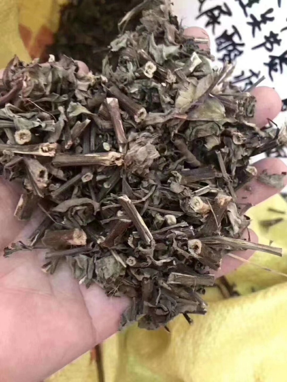 什么草冶痛风(什么草治疗痛风)