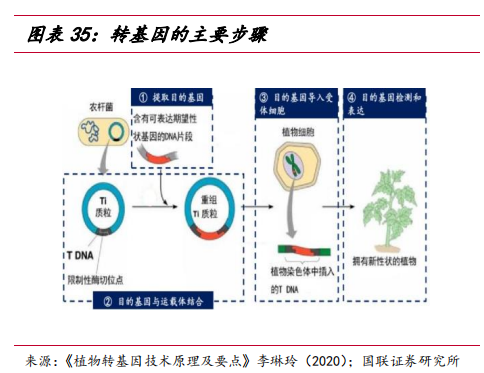 转基因技术的成果有哪些(转基因技术的成果有哪些特点)