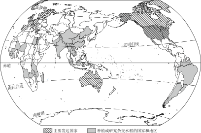 我国水稻种植区域(我国水稻主要种植区域)