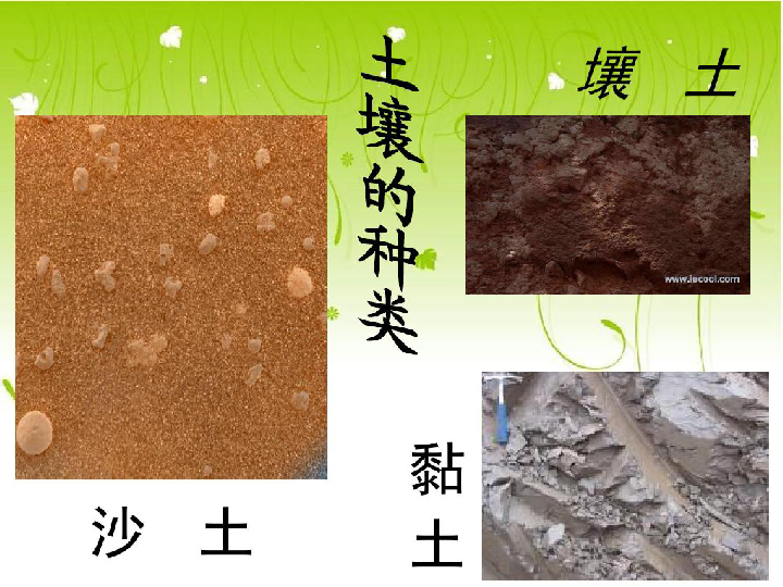 水稻适合种植在黏质土还是壤土?(适合水稻生长的土壤是黏质土还是壤土)