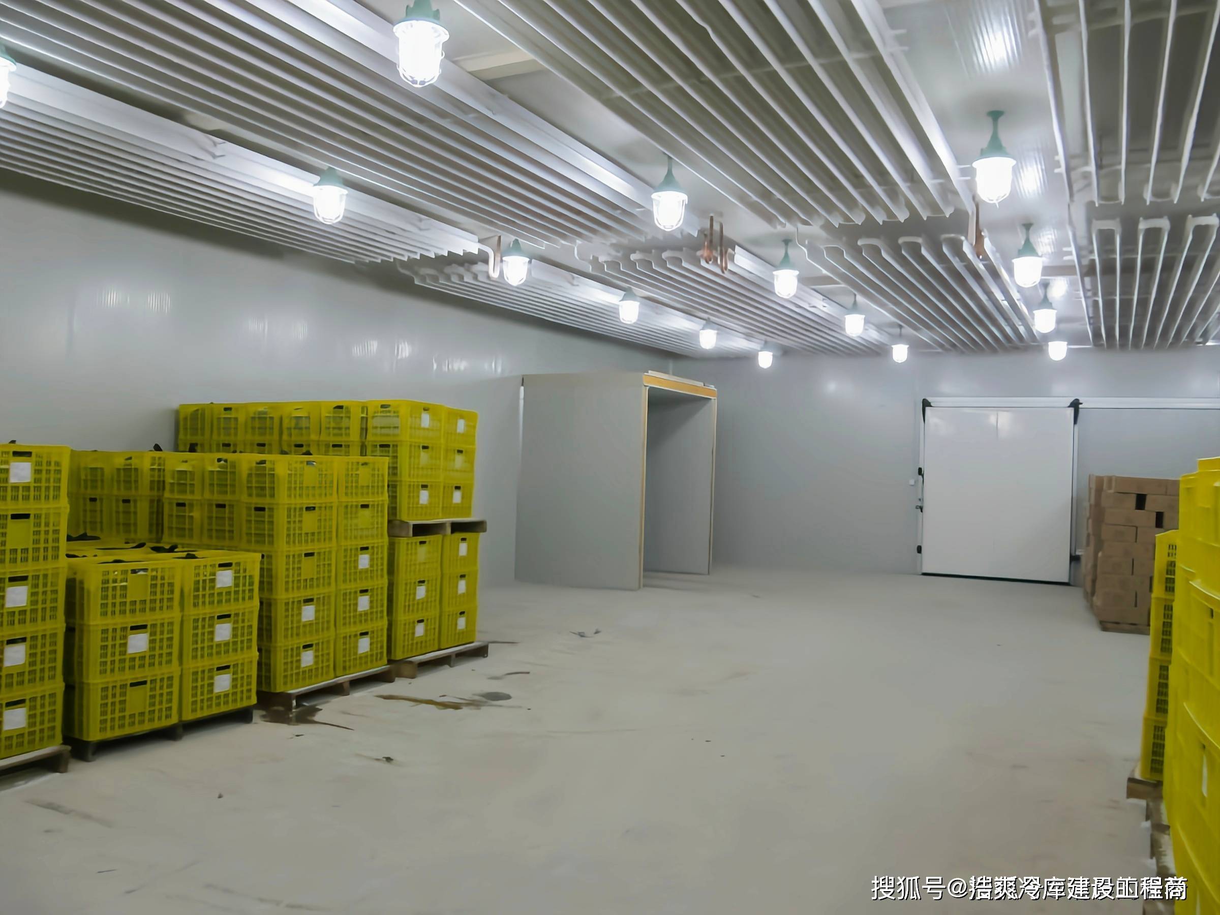 果蔬保鲜贮藏(果蔬保鲜贮藏运输技术的发展趋势)