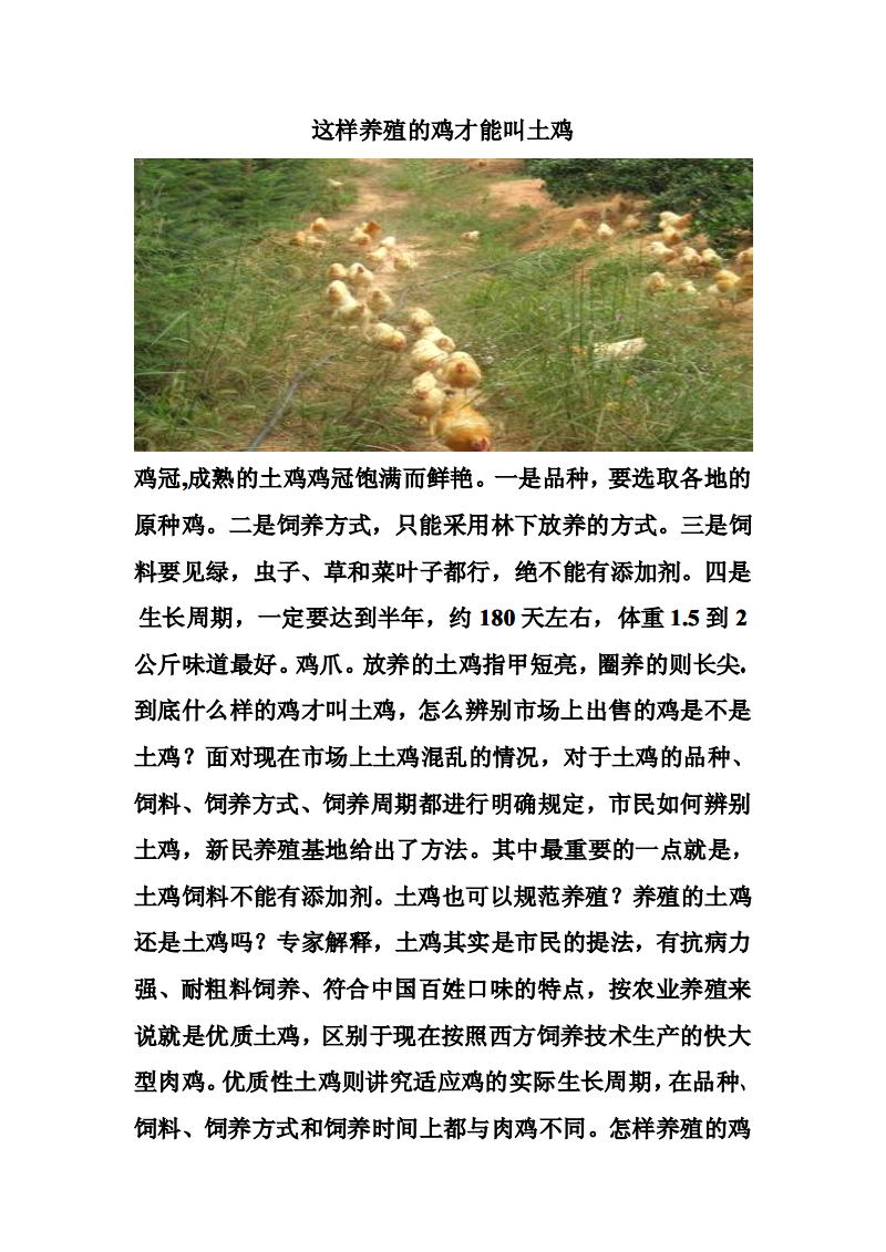 养殖土鸡的技术(土鸡养殖视频教程)