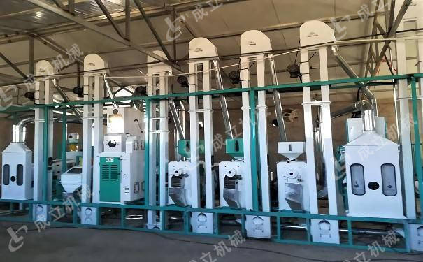 小型大米加工(小型大米加工机多少钱)