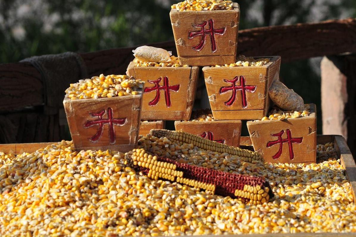 三农市场(三农市场投入安全要求)