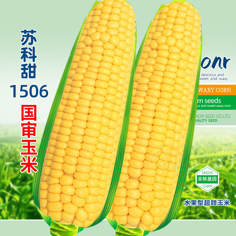 苏科甜1506玉米种子种植技术的简单介绍