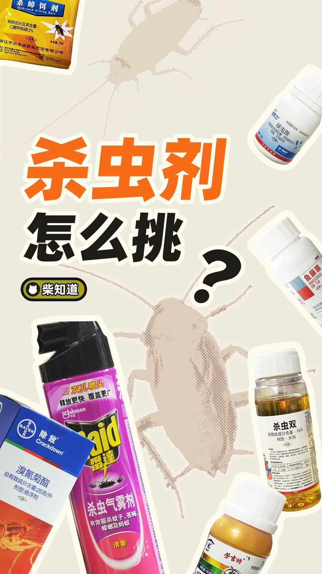 怎么杀虫(怎样杀虫最有效)