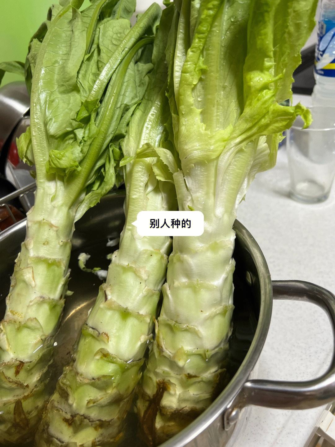 莴笋怎么长时间保存(莴笋怎么存放保鲜的时间比较长)