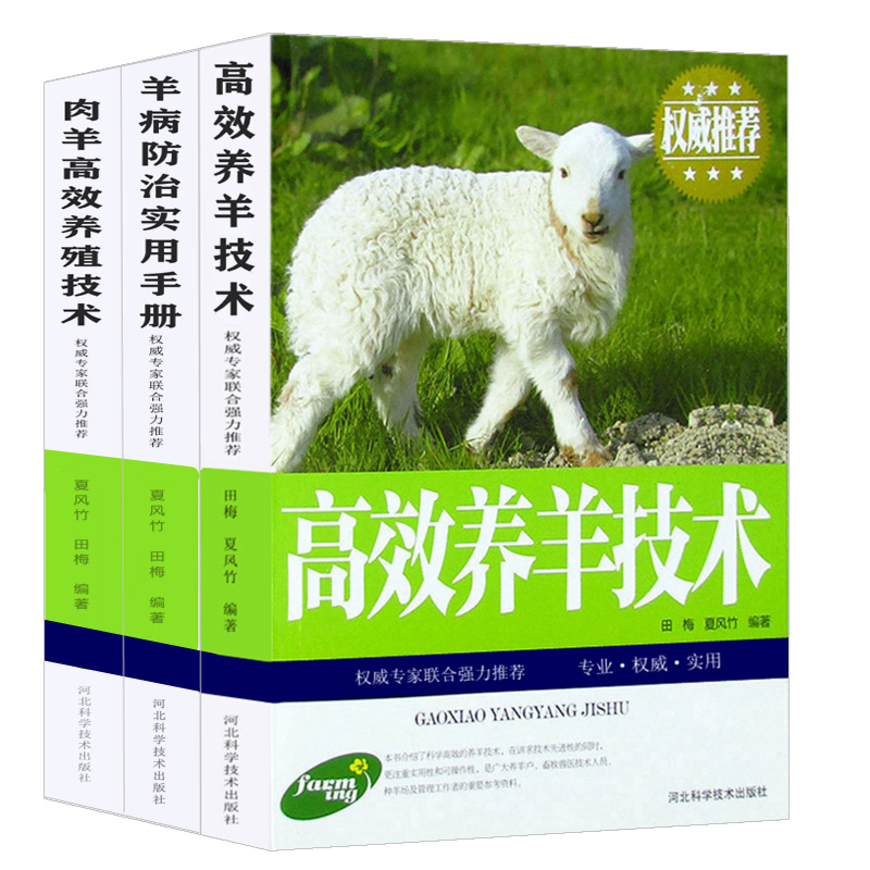高效养羊养殖技术(高效养羊的技术要点是什么)