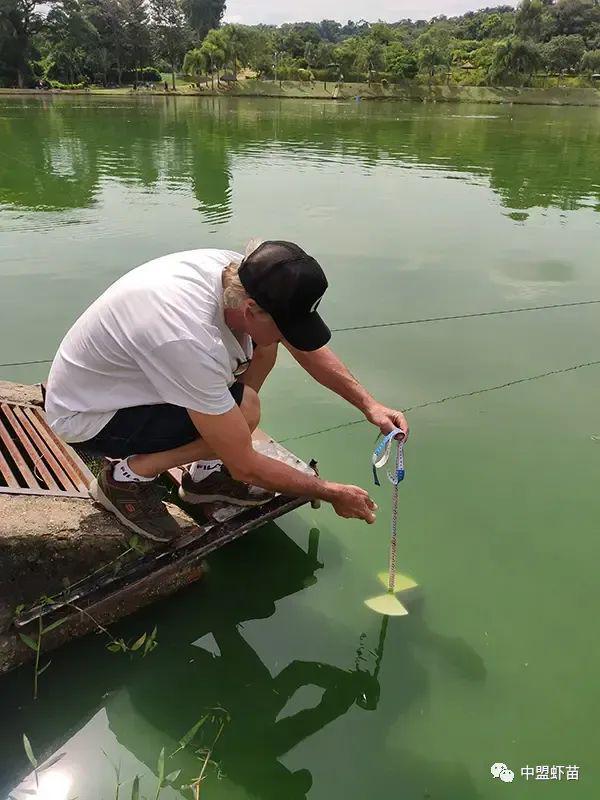 深度水产养殖(数字渔业赋能工厂化水产养殖)