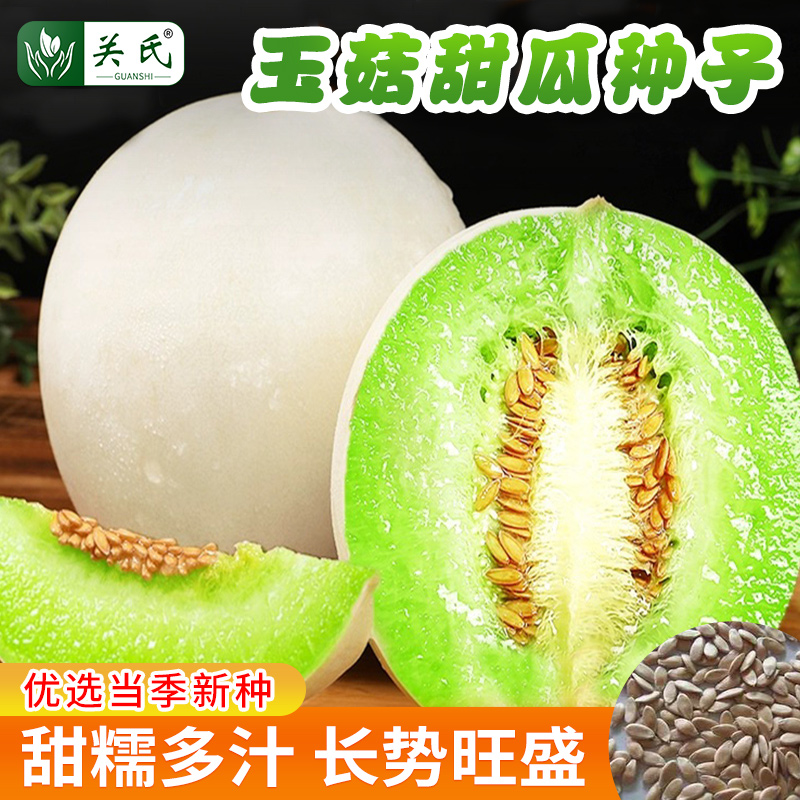 白皮脆瓜种植技术(脆瓜的种植与管理技术)