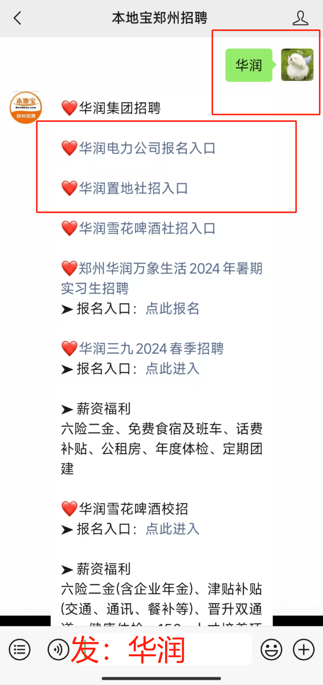 怎么看本地招聘信息(怎么查找当地招聘信息)