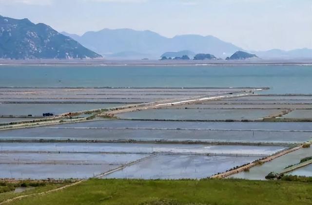 海水稻种植(海水稻种植对生态环境会造成哪些影响)