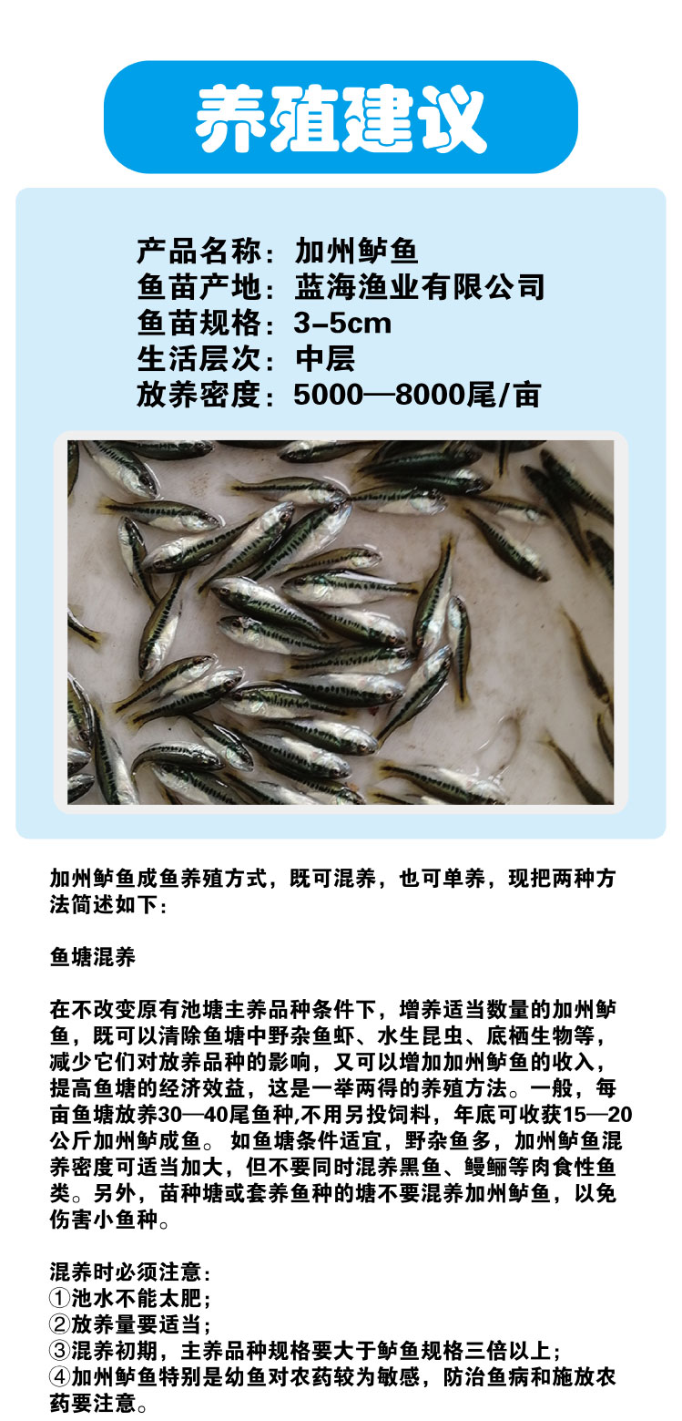 鲈鱼病害防治(鲈鱼病害防治方法)