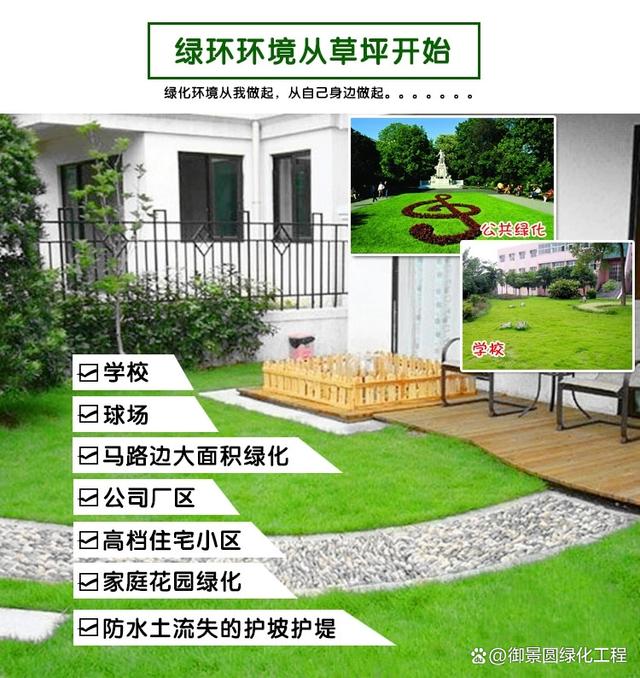 草坪播种方法主要有(草坪播种方法主要有哪几种)