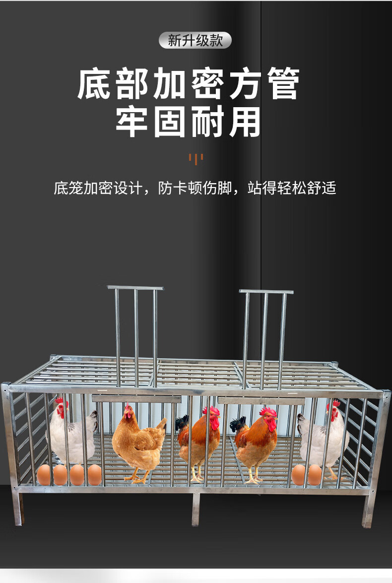 包含肉鸡饲养,肉鸡养殖鸡笼,,1.24,2,高,地域词的词条