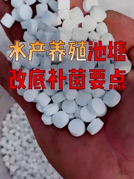 水产养殖八大菌(水产养殖八大菌种)