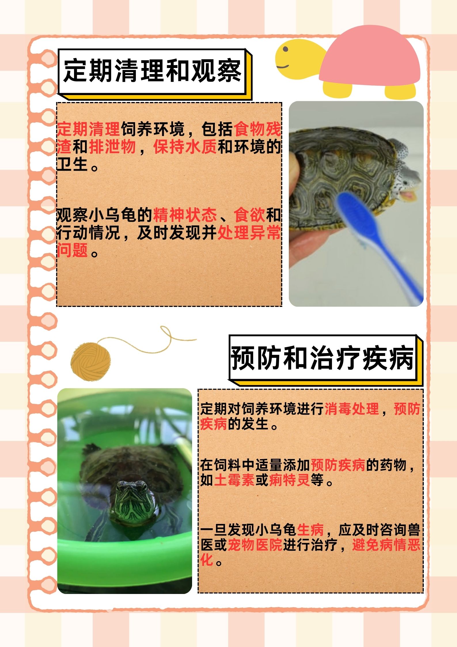 龟的养殖技术(龟的养殖技术报告怎么写)