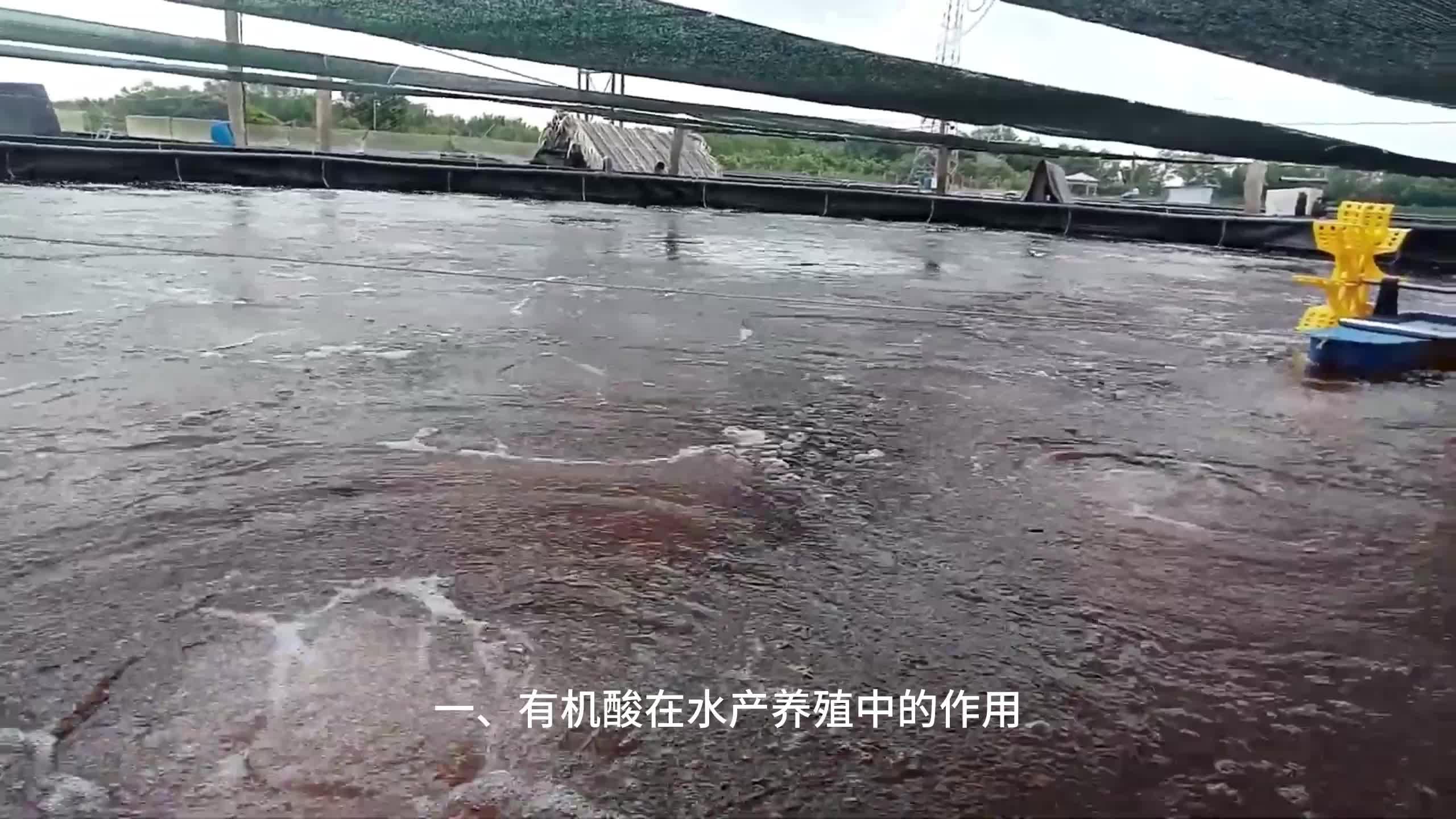 水产养殖中有机酸有哪些(水产养殖中有机酸有哪些作用)
