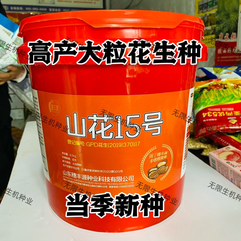 花生种子哪个品种最高产(花生种子哪个品种最高产的)